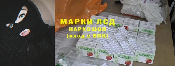 ГАЛЛЮЦИНОГЕННЫЕ ГРИБЫ Абаза