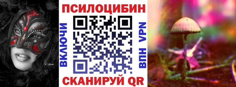 Галлюциногенные грибы Psilocybe  Жердевка 